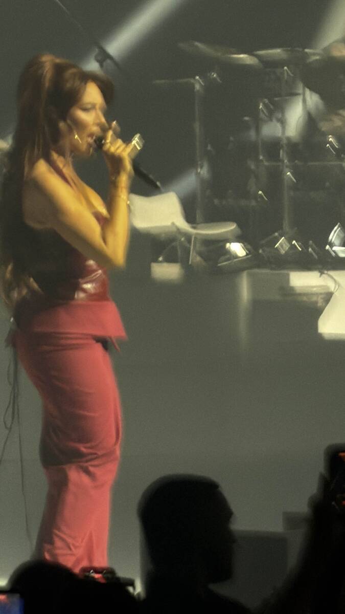 Senidah koncert (13).jpg