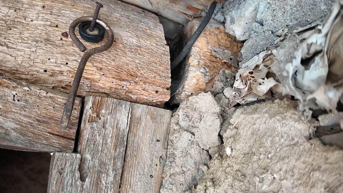 Dok je pekao rakiju Slobodanu opasni gmizavac došao iznad glave (8).jpg