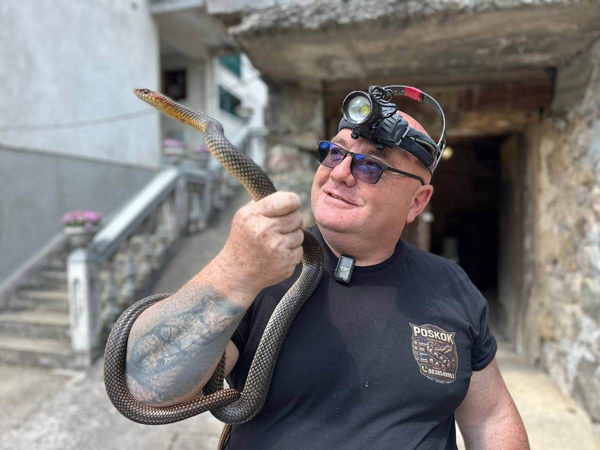 Dok je pekao rakiju Slobodanu opasni gmizavac došao iznad glave (3).jpg