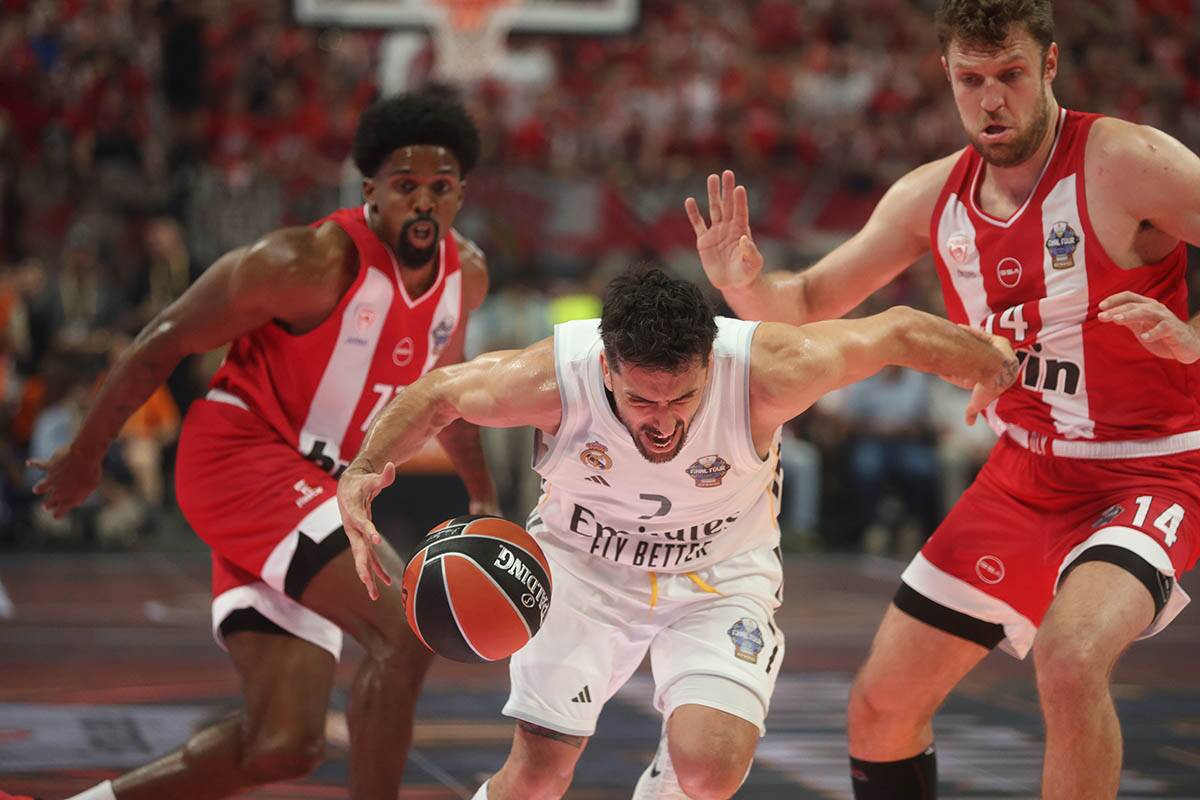 Euroleague (5).jpg