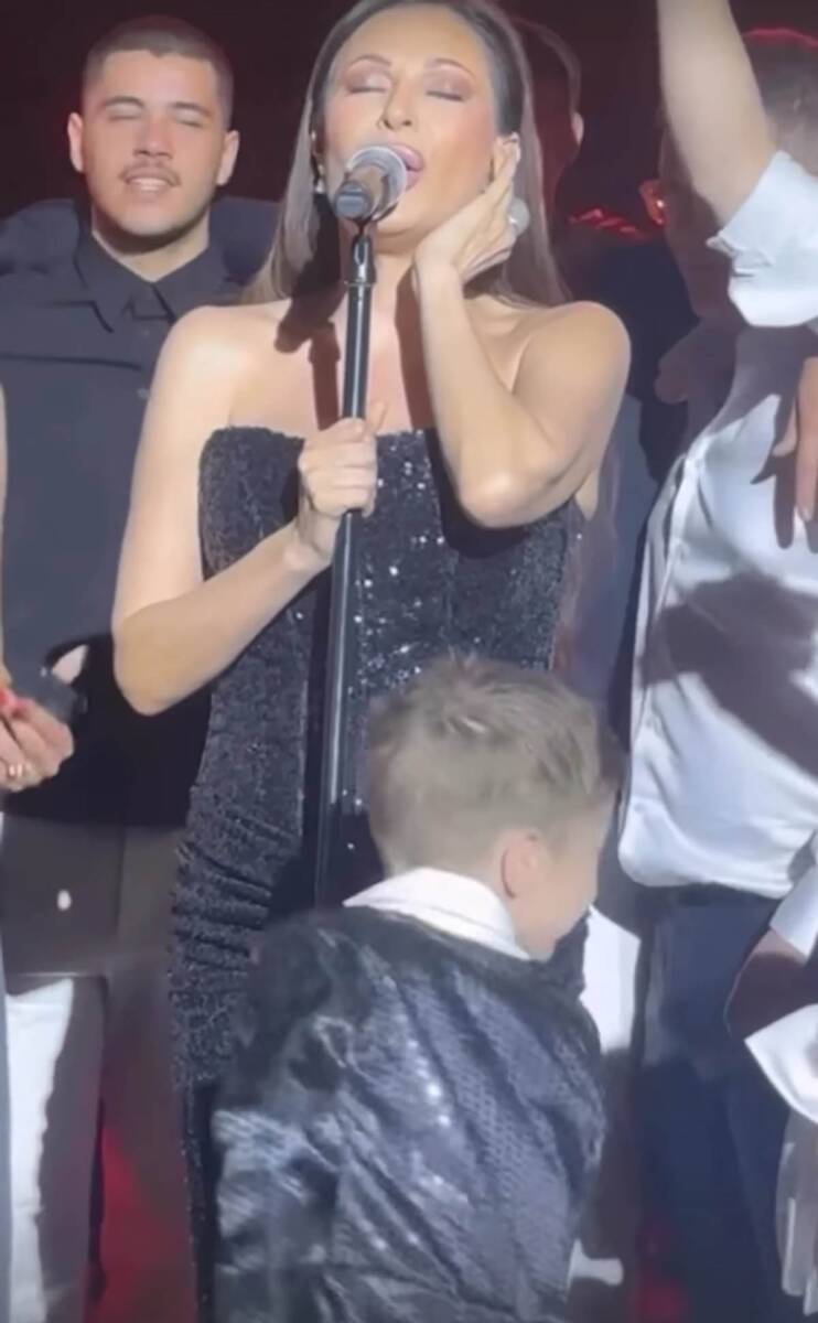 Ceca kod Karića na slavlju (2).jpg