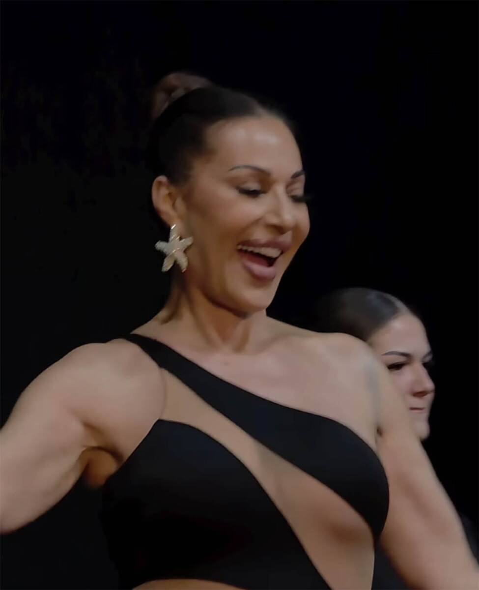 Ceca Ražnatović prvi put u Rumuniji 4.jpg