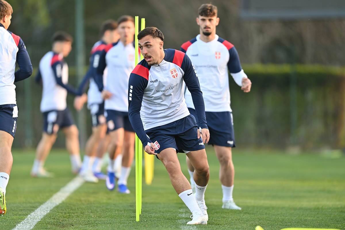 Milan Aleksić (1).jpg