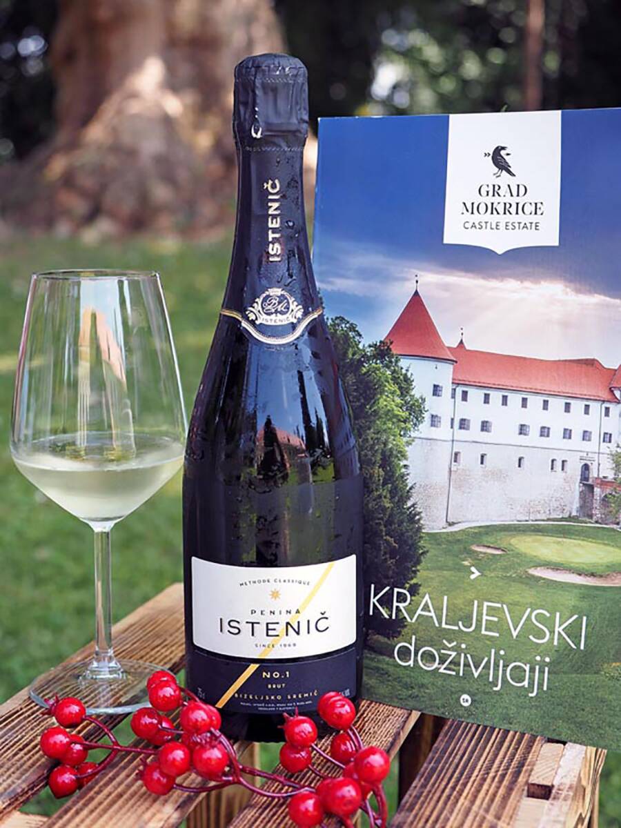 Zašto porodice iz Srbije biraju Terme Čatež za letnji odmor