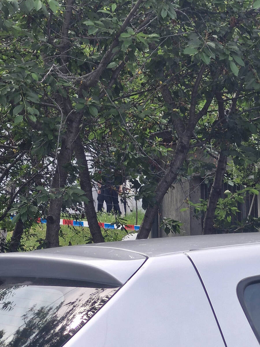 Plzenjska ulica ubistvo (10).jpg