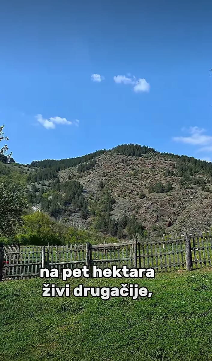 Švajcarac u Srbiji (2).png
