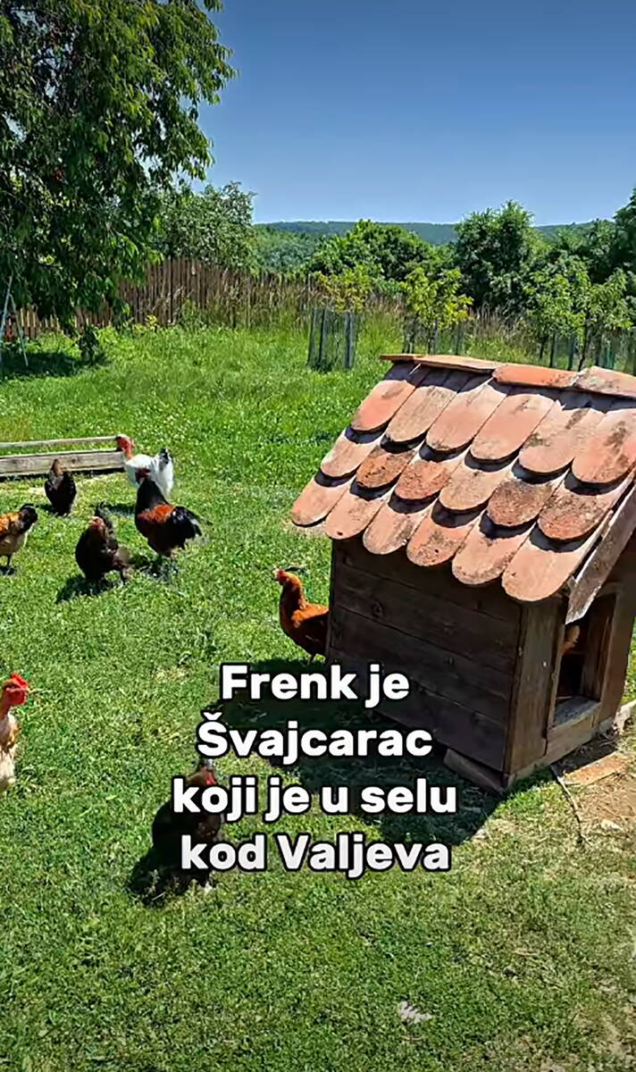 Švajcarac u Srbiji (3).png