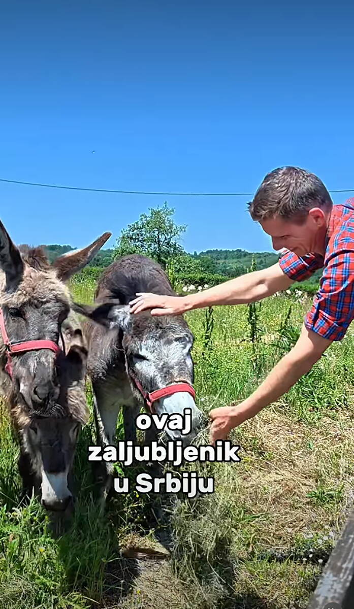 Švajcarac u Srbiji (4).png