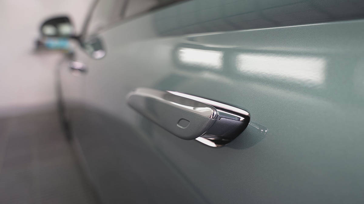 Čačanka Mina od luksuznih automobila pravi savršenstvo (7).jpg