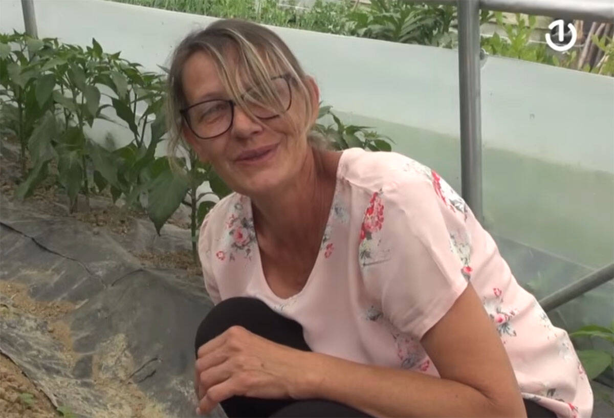 Vesna uzgaja najskuplju papriku na svetu (6).jpg