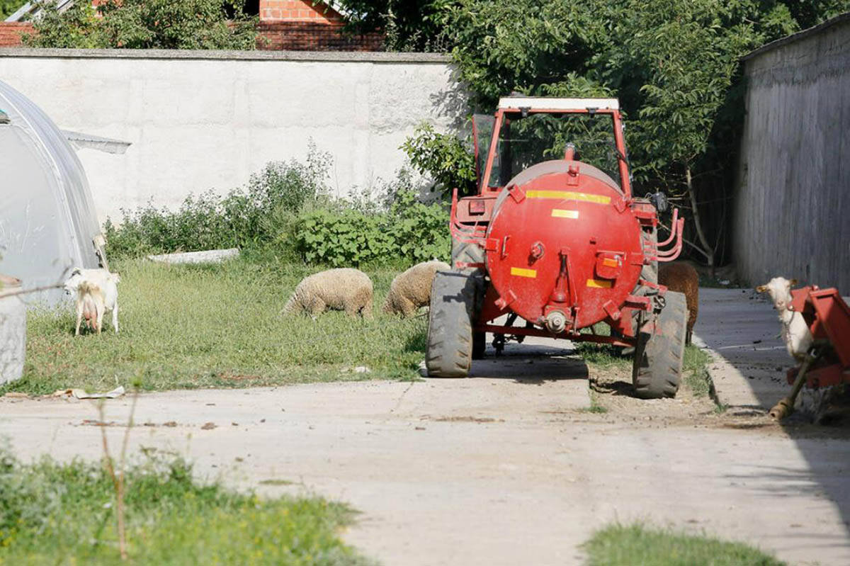 Ceca Ražnatović - kuća u Žitorađi (5).jpg