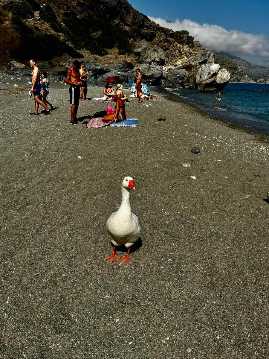 Plaža Preveli, Krit (11).jpg