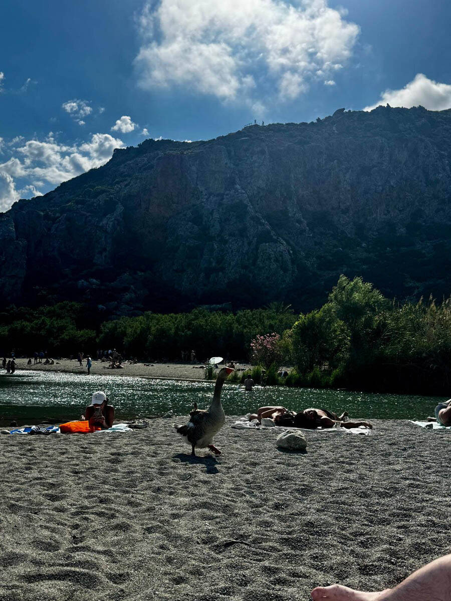 Plaža Preveli, Krit (13).jpg
