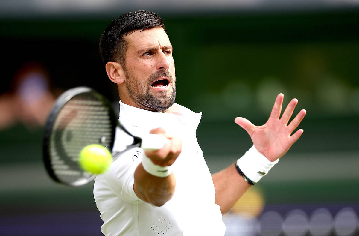 Novak Đoković - Jibing Vu3.jpg