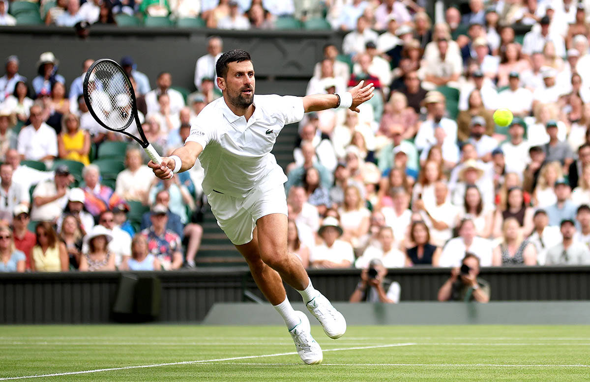 Novak Đoković - Jibing Vu 6.jpg