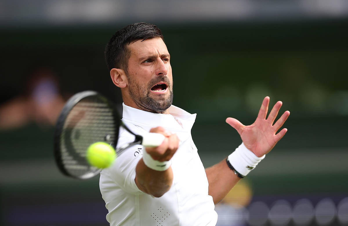 Novak Đoković - Jibing Vu 5.jpg