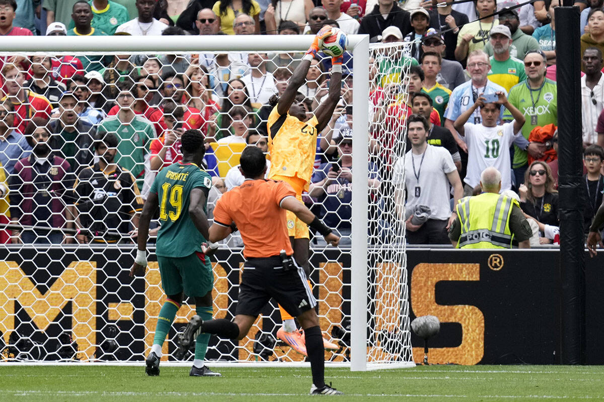 Senegal - Belgija (1).jpg