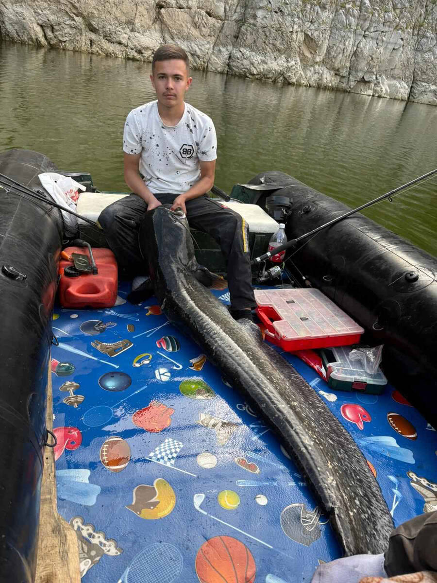 Otac i sin iz Sjenice ulovili soma kapitalca (4).jpg