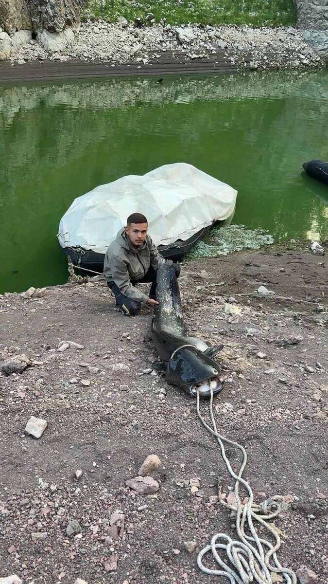 Otac i sin iz Sjenice ulovili soma kapitalca (5).jpg