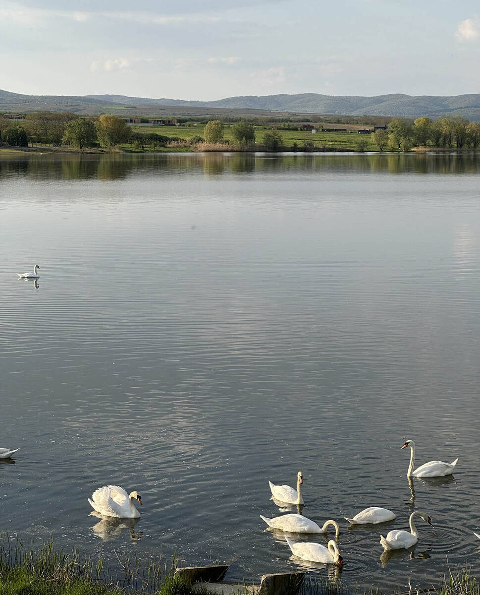 Pavlovačko jezero - hacijenda Novaka Đokovića (2).jpg