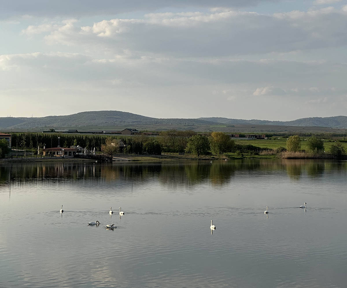 Pavlovačko jezero - hacijenda Novaka Đokovića (4).jpg