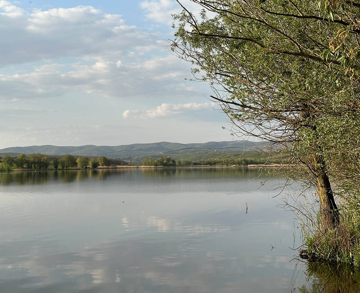 Pavlovačko jezero - hacijenda Novaka Đokovića (5).jpg