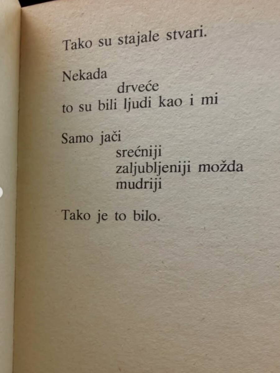 Dragana Kosjerina citat knjiga.jpg