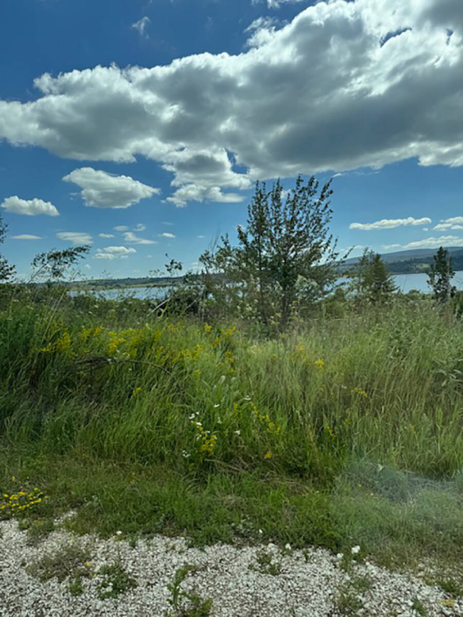 Vlasinsko jezero