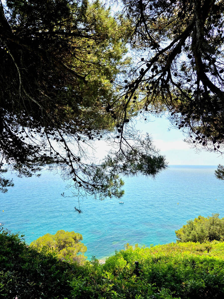 Vrtovi, Ljoret de Mar (6).jpg