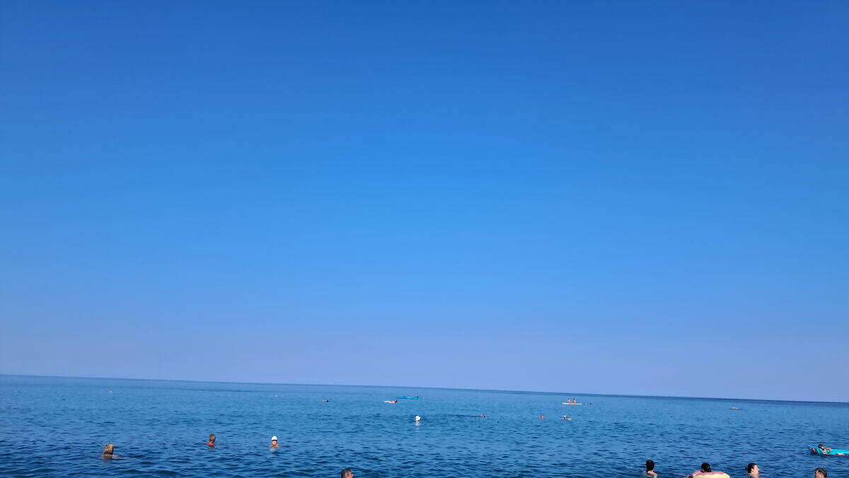Hobotnica na plaži u Grčkoj (1).jpg