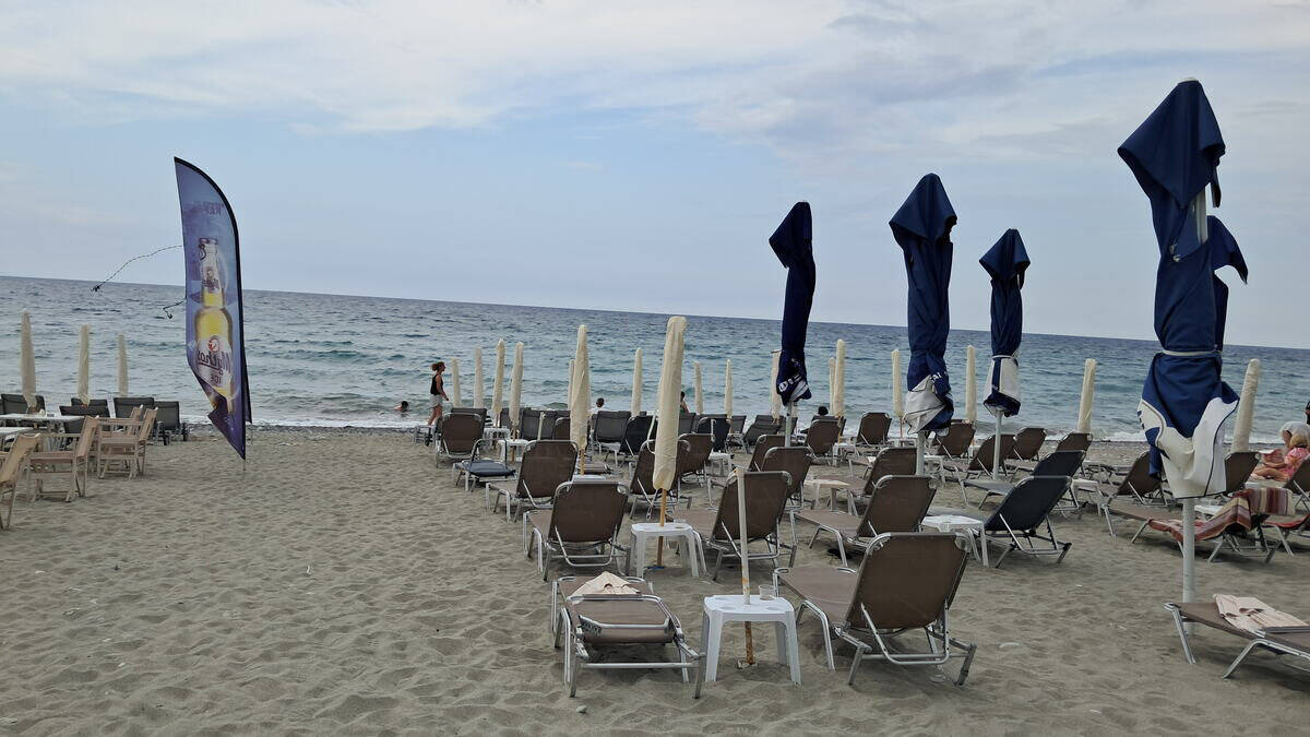 Hobotnica na plaži u Grčkoj (4).jpg