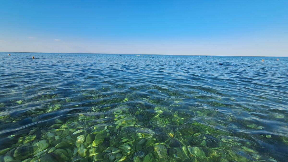 Hobotnica na plaži u Grčkoj (6).jpg