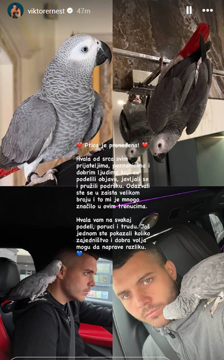 Viktor Živojinović pronašao pticu2.jpg
