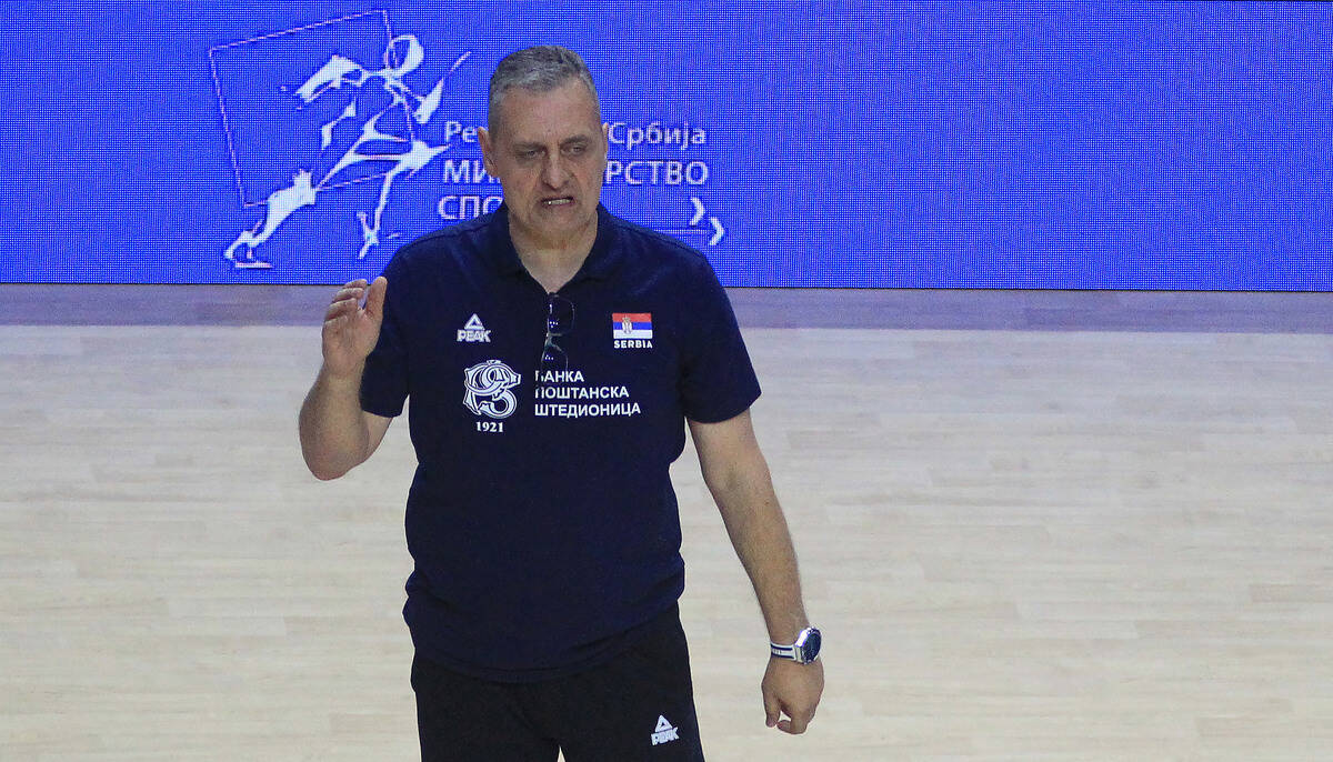 Srbija - Francuska, odbojka 13.jpg