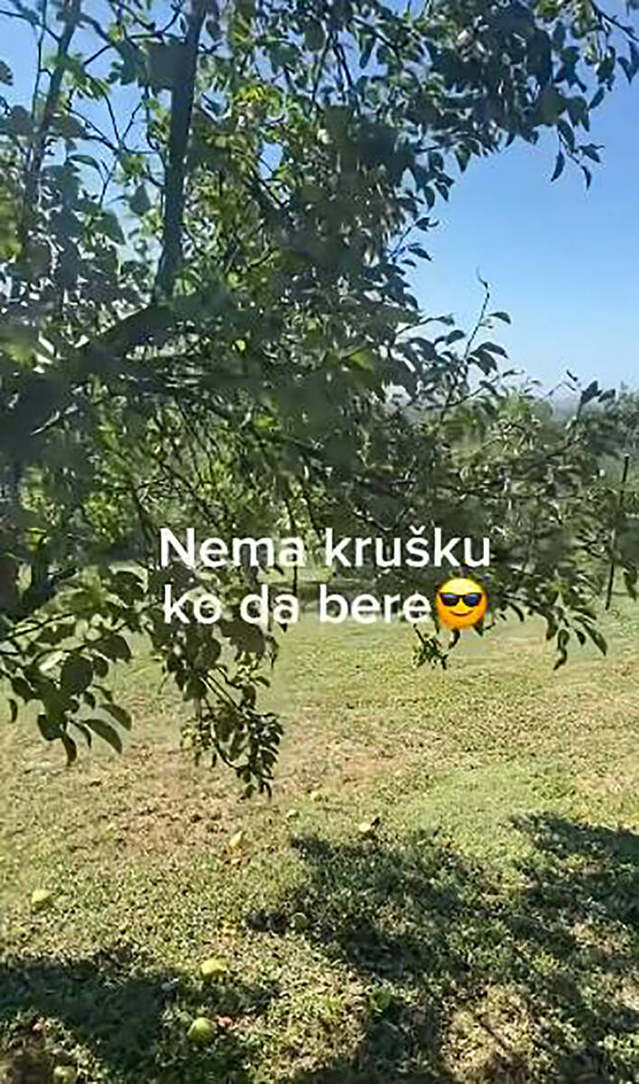 Pogledajte imanje Kaje Žutić na selu na kom muze koze