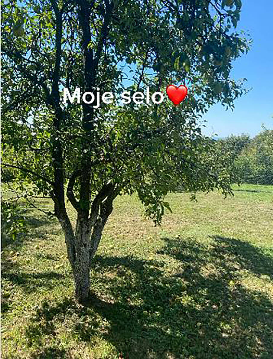 Pogledajte imanje Kaje Žutić na selu na kom muze koze