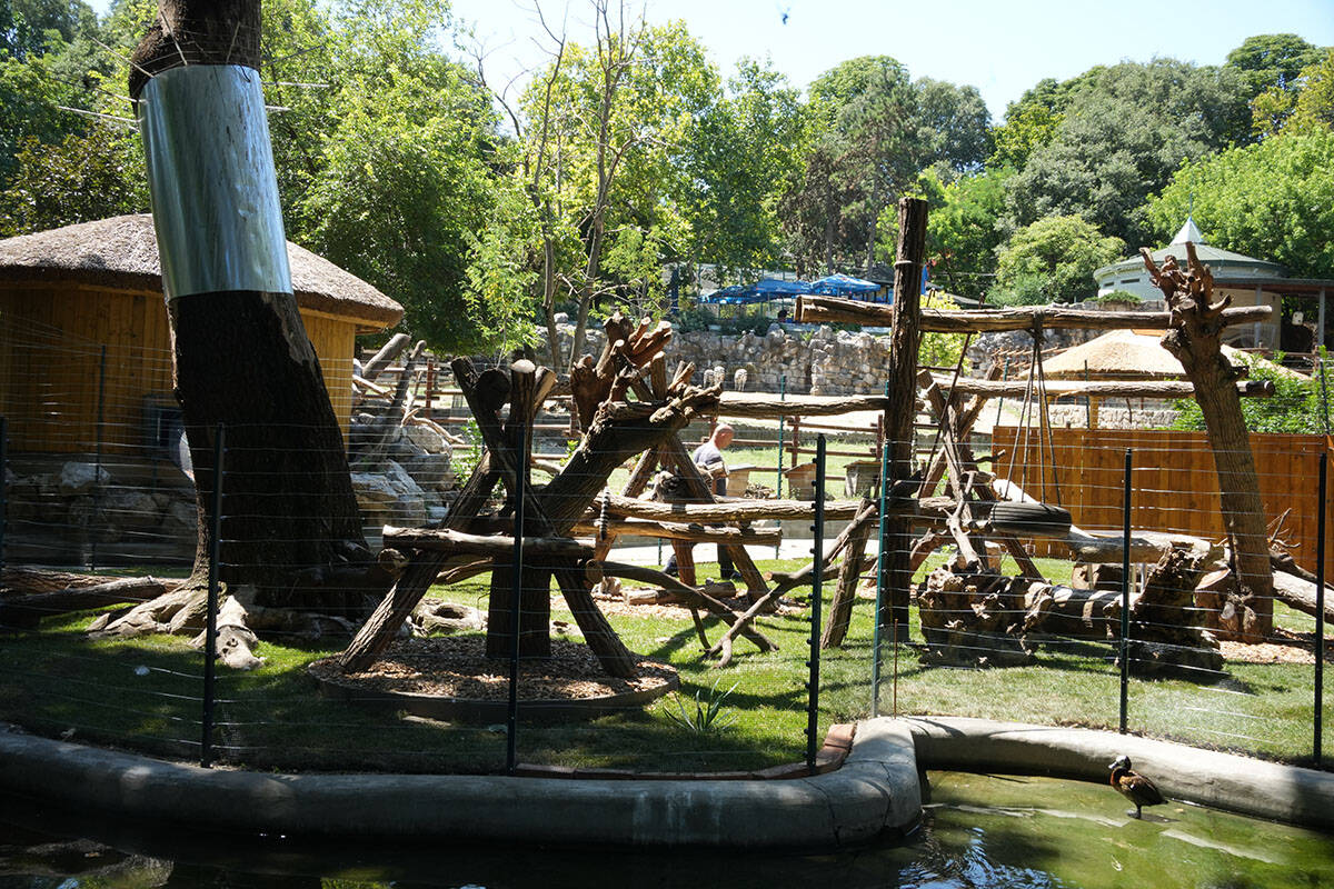 Devedeset godina zoo vrta (1).jpg