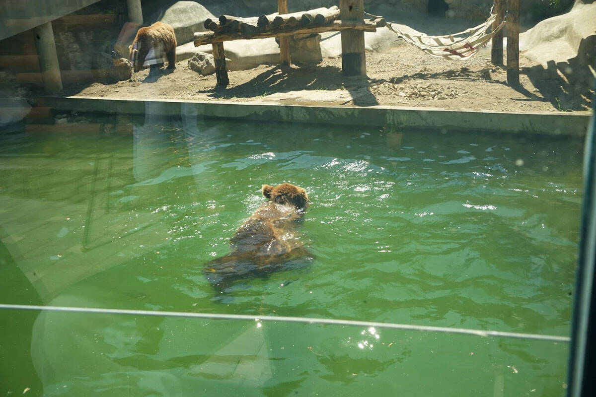 Devedeset godina zoo vrta (5).jpg