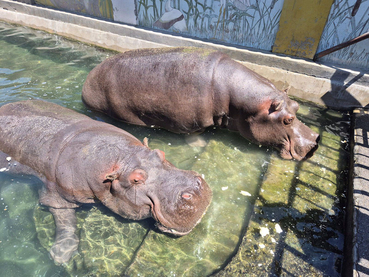 Devedeset godina zoo vrta  (3).jpg