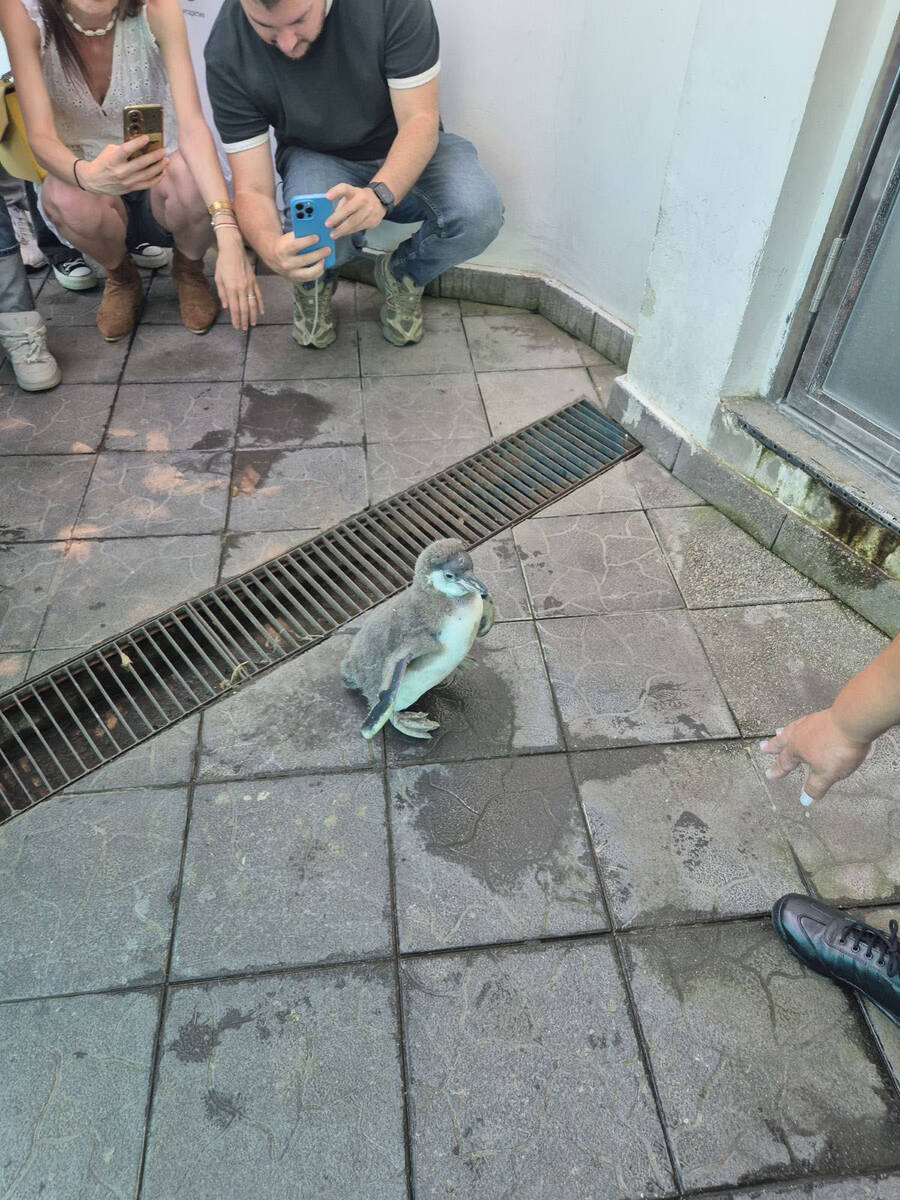 Devedeset godina zoo vrta  (5).jpg