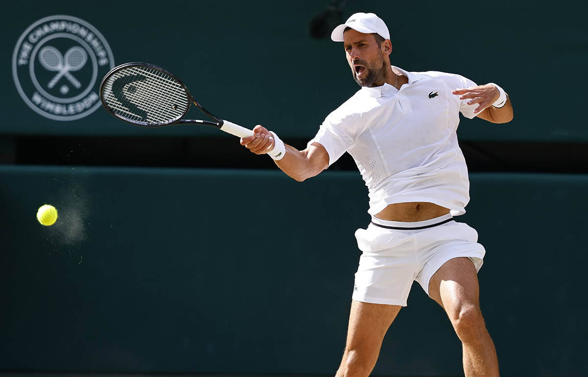 Novak Đoković - Janik Siner 8.jpg