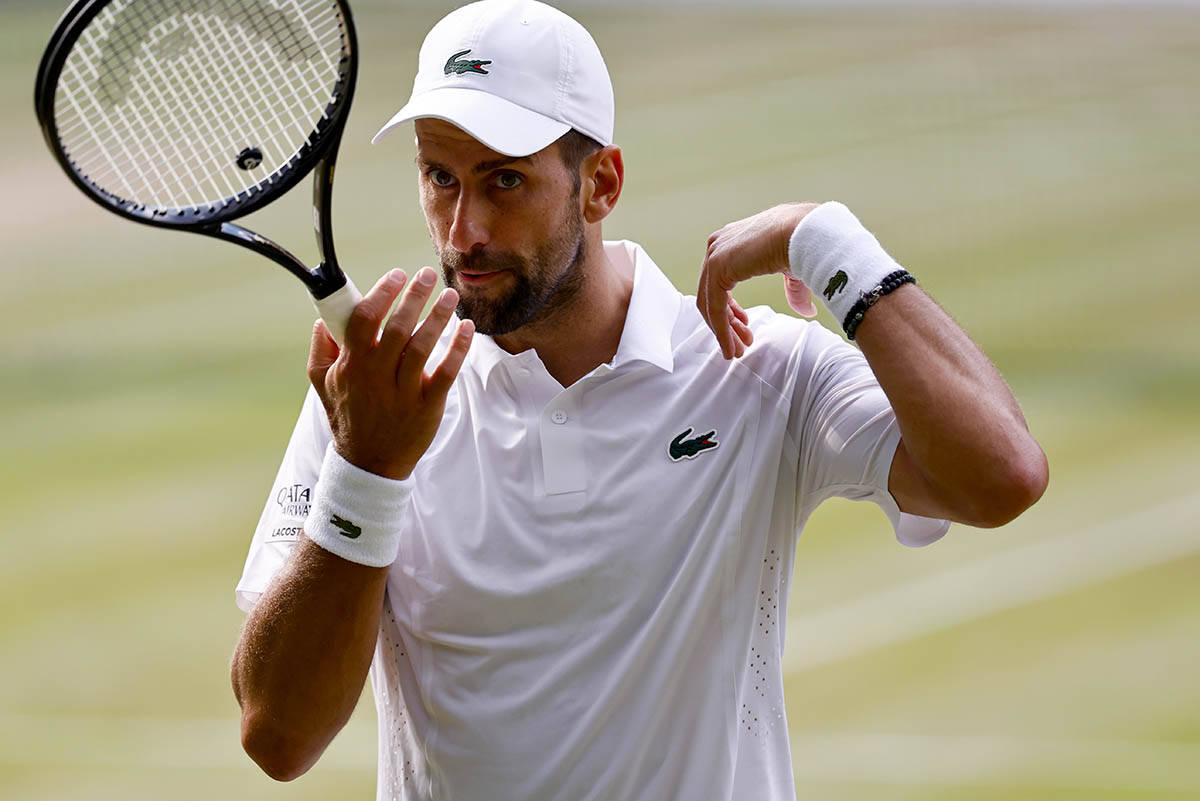 Novak Đoković - Janik Siner 13.jpg