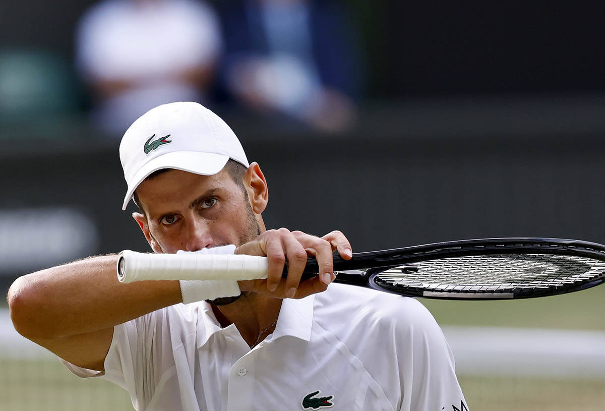 Novak Đoković - Janik Siner 12.jpg