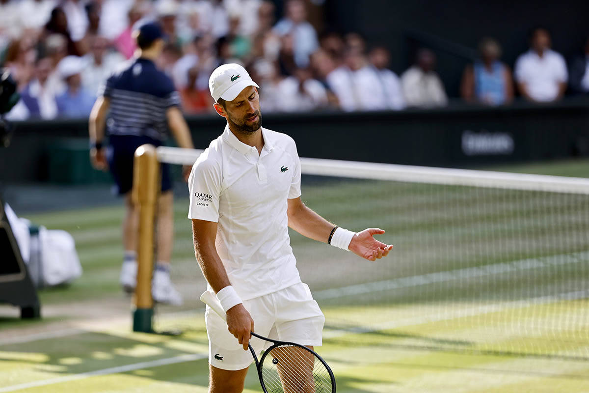 Novak Đoković - Janik Siner 14.jpg