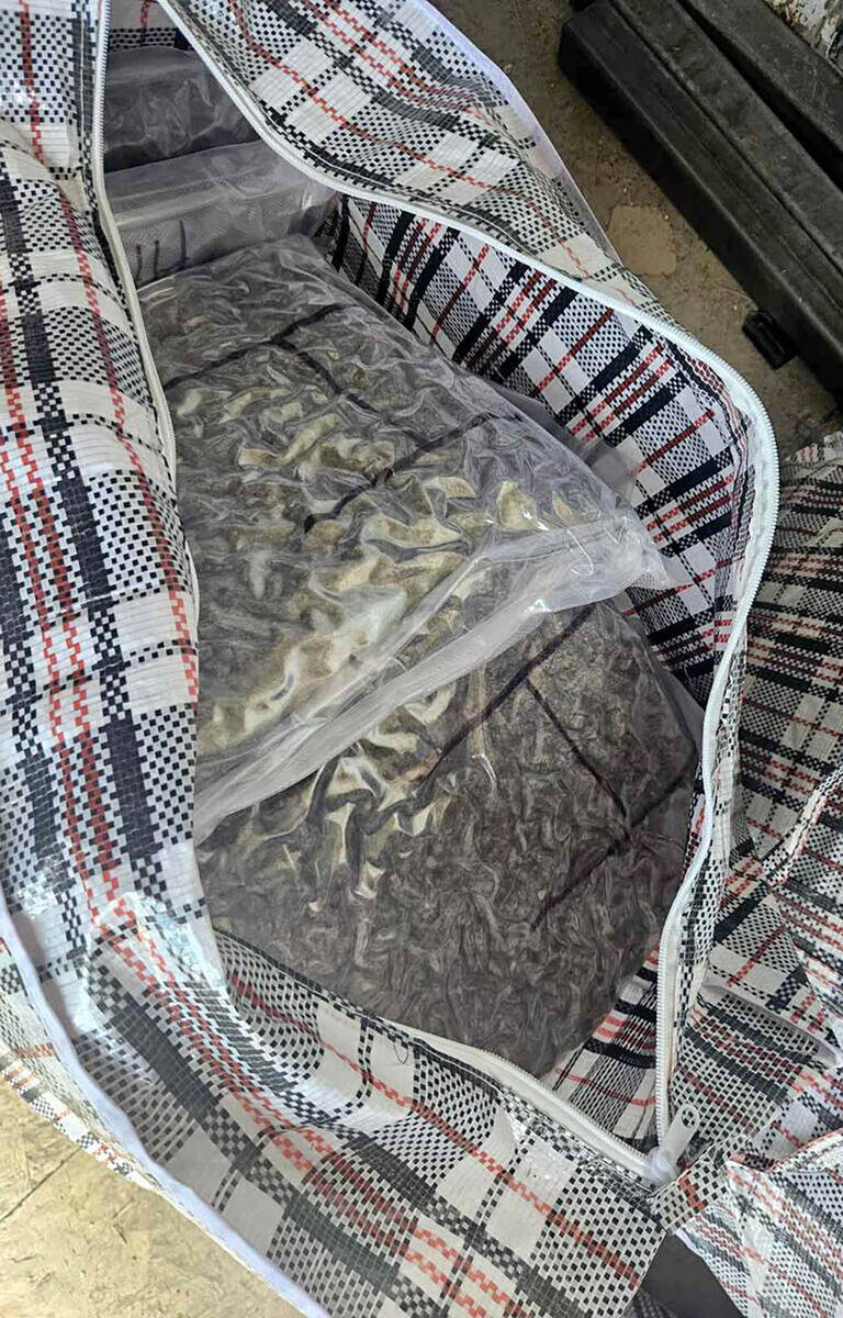Hapšenje u Novom Sadu zbog marihuane 5.jpg