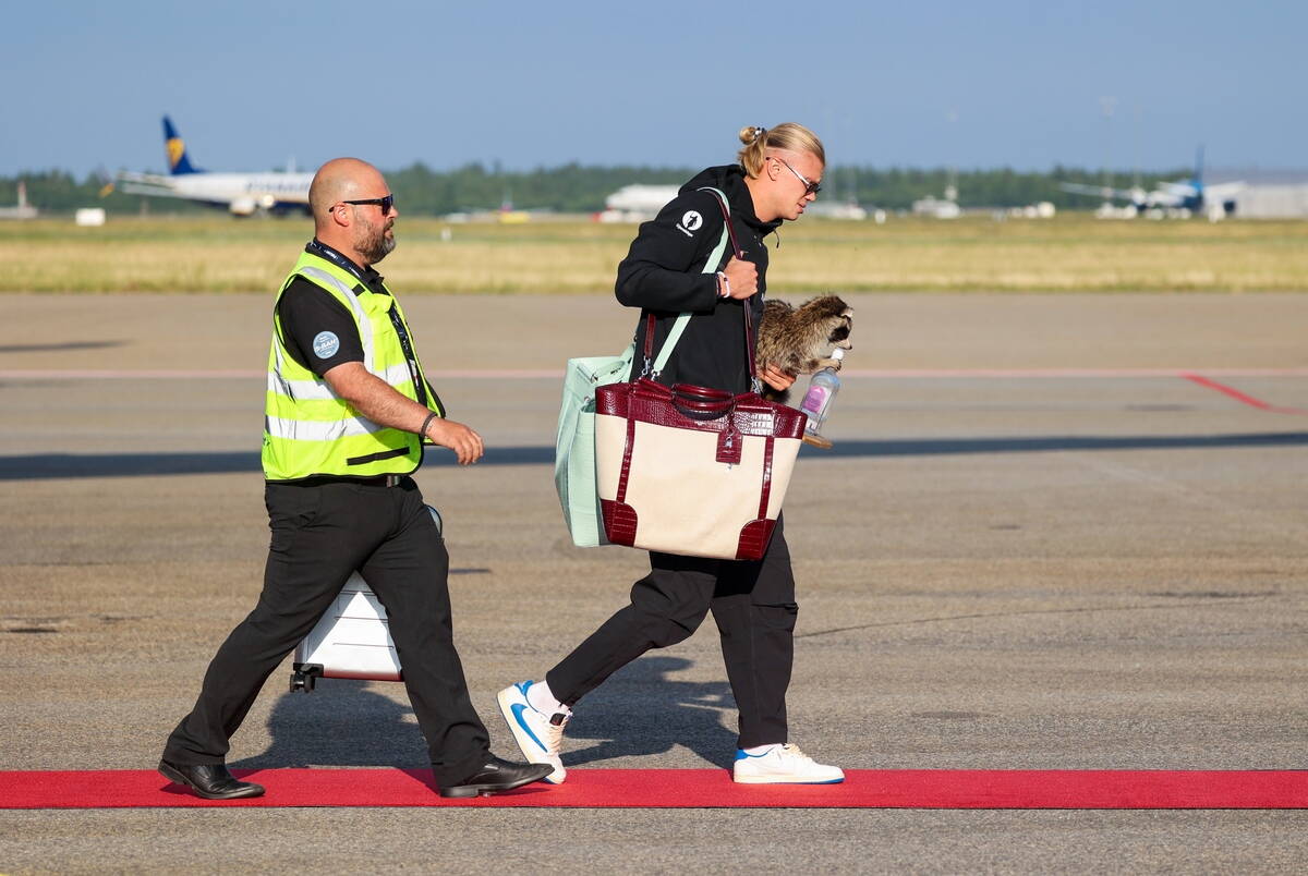 Erling Holand nosi prepariranog rakuna