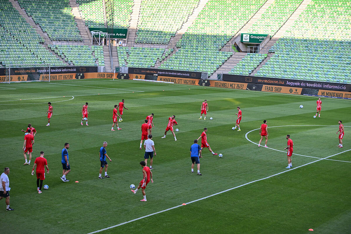 Vojvodina - trening (1).jpg