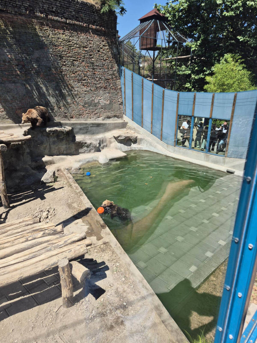 medvedice zoo vrt 6.jpg