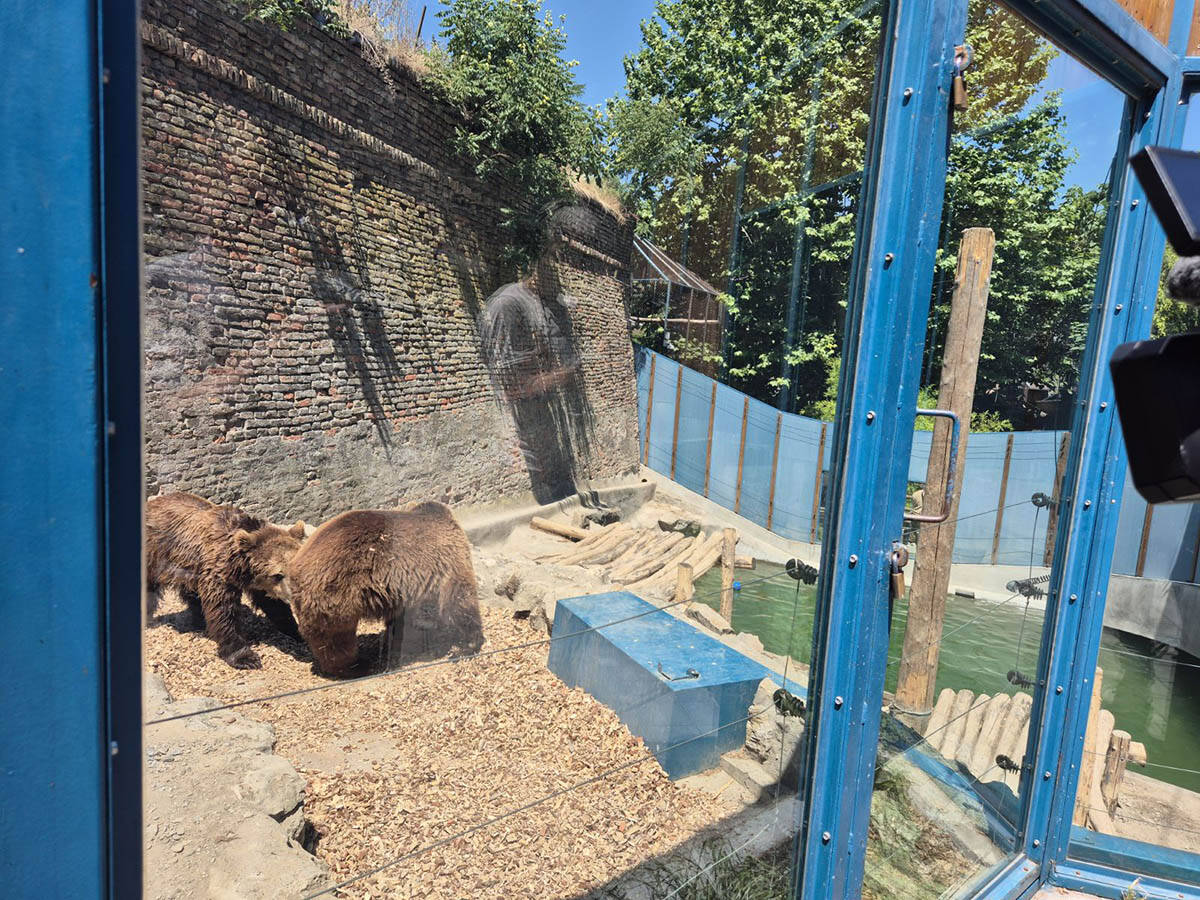 medvedice zoo vrt 11.jpg