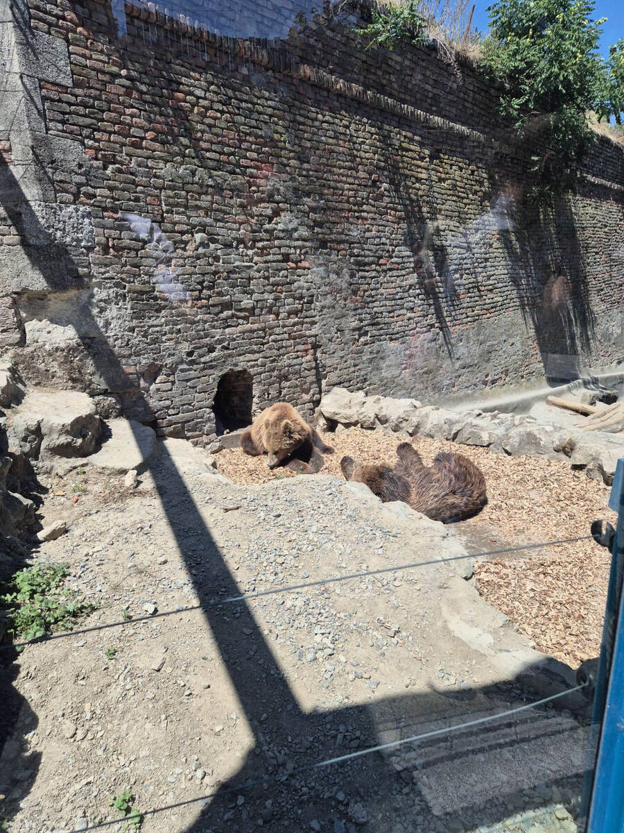 medvedice zoo vrt 12.jpg